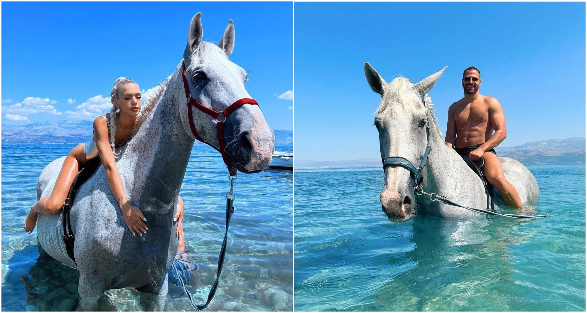 Plivanje s konjima novi hit na Instagramu - dostupno i na Braču - Zagorje  International | Saznajte više, informirajte se bolje
